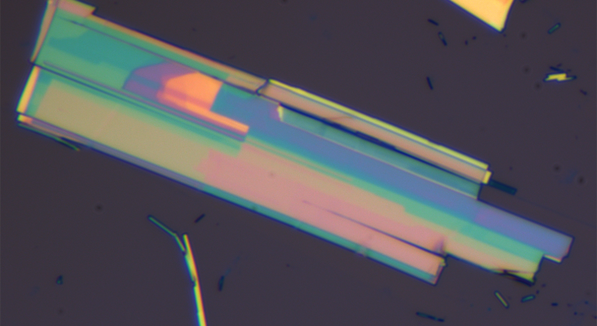 CrSBr crystal structure showing energy-tunable light polarization