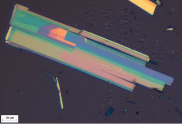 Energy-Tunable Light Polarization in CrSBr Crystals