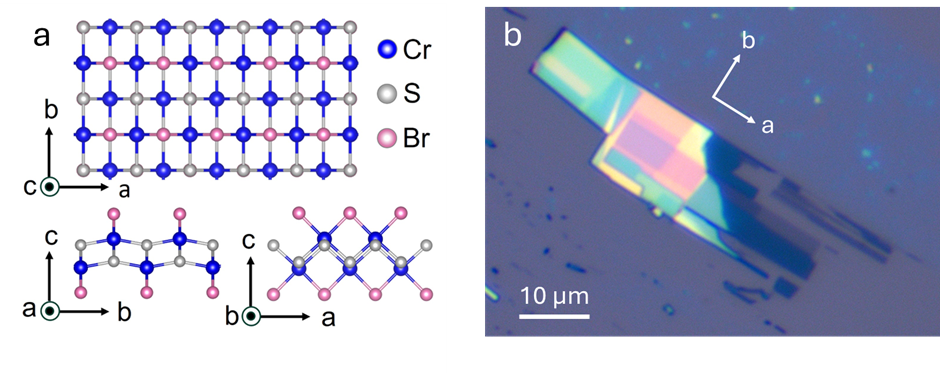 Figure 1. (a) Sketch of CrSBr crystal structure, crystallographic axes a, b, and c are indicated. The figure is reproduced from [6]. (b) Optical image of a typical CrSBr flake, elongated along the a-axis.