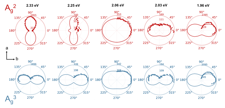 Figure 2. The top panel presents the polar plot of Raman scattering signal intensity dependent on the polarization rotation angle of A_g^2 mode (terracotta color), while the bottom panel shows the same for A_g^3 mode (blue color) at different excitation energies ranging from 2.33 to 1.96 eV (each column reflects a certain excitation energy marked above columns). Dots correspond to an experimental spectrum; the solid lines are fitting curves. The angle of the polarization orientation of the Raman signal is measured from the direction of the b-axis (0 degrees). The radial axis corresponds to the signal intensity, which differs for each plot; the center point is 0 counts on all plots. The figure is reproduced from [6].